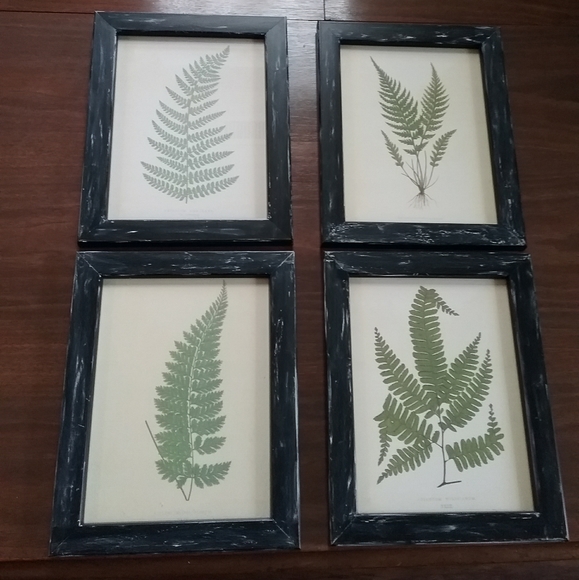 Other - 4- wall art ferns